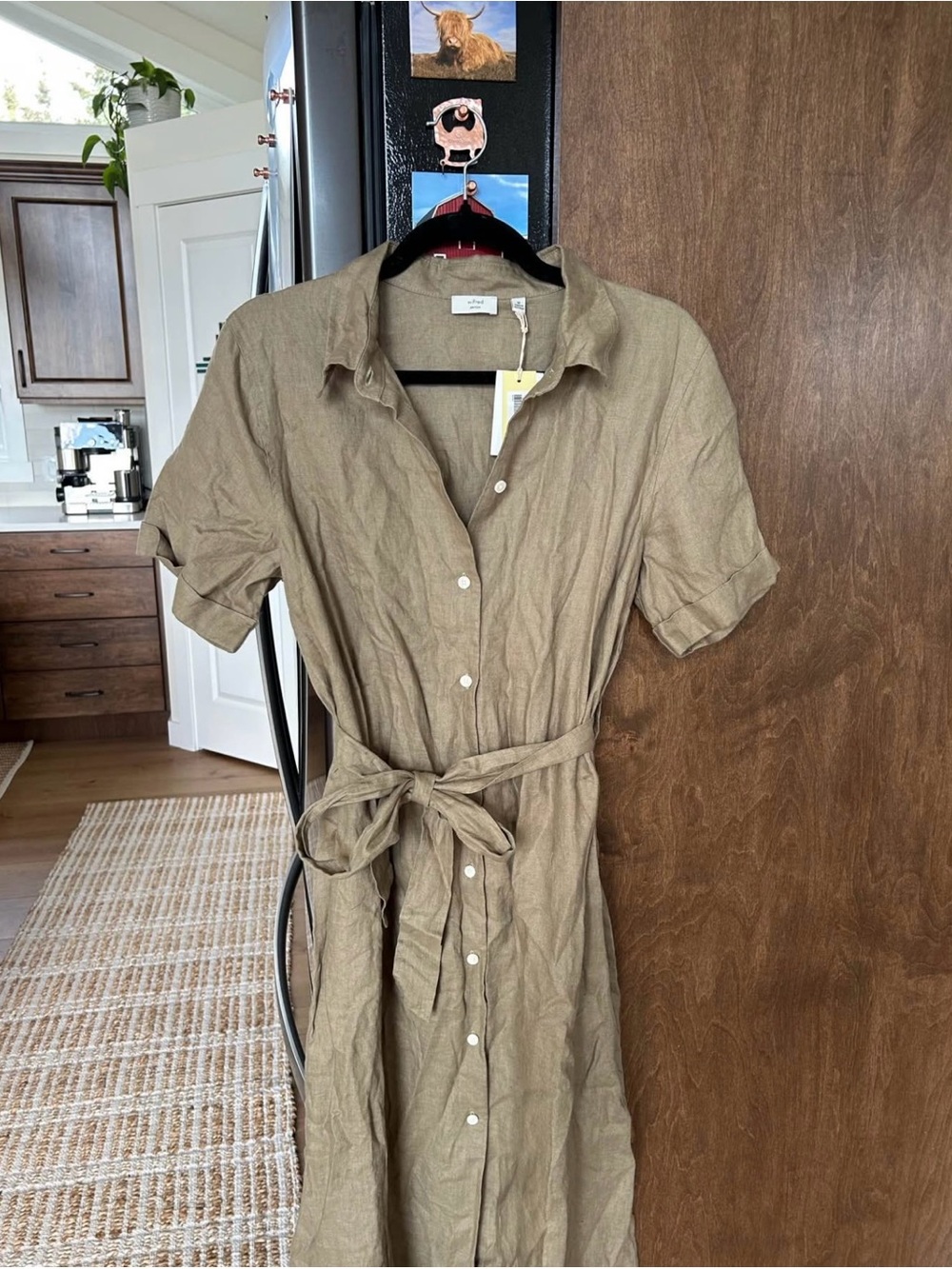 Aritzia Linen Button-Front Maxi Dress in Tan